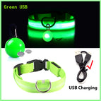 Green Usb / Xxl Neck 43-62 Cm