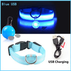 Blue Usb / Xxl Neck 43-62 Cm