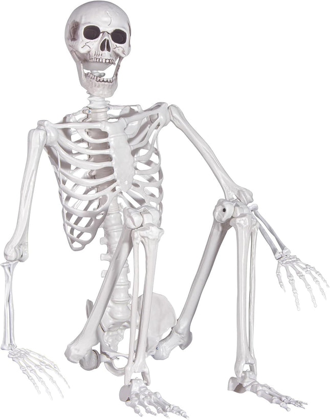 Halloween Skeleton, Realistic Life Size Skeleton with Movable Joints for Halloween Party Haunted House Indoor Outdoor Decoration (5.4Ft-1P)
