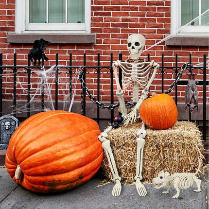 2Pcs Skeleton and Dog Skeleton Halloween Decorations Posable Skeletons Halloween Decorations Indoor Outdoor