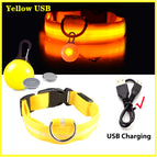 Yellow Usb / Xxl Neck 43-62 Cm
