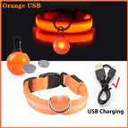 Orange Usb / Xxl Neck 43-62 Cm