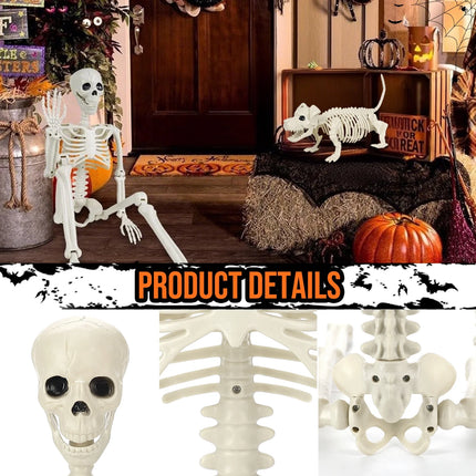 2Pcs Skeleton and Dog Skeleton Halloween Decorations Posable Skeletons Halloween Decorations Indoor Outdoor