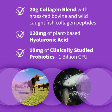 Wild Caught & Grass Fed Collagen Hyaluronic Acid, 12 Servings